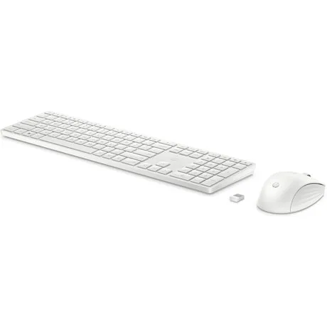 HP 650 Wireless Keyboard and Mouse Combo - 4R016AA
